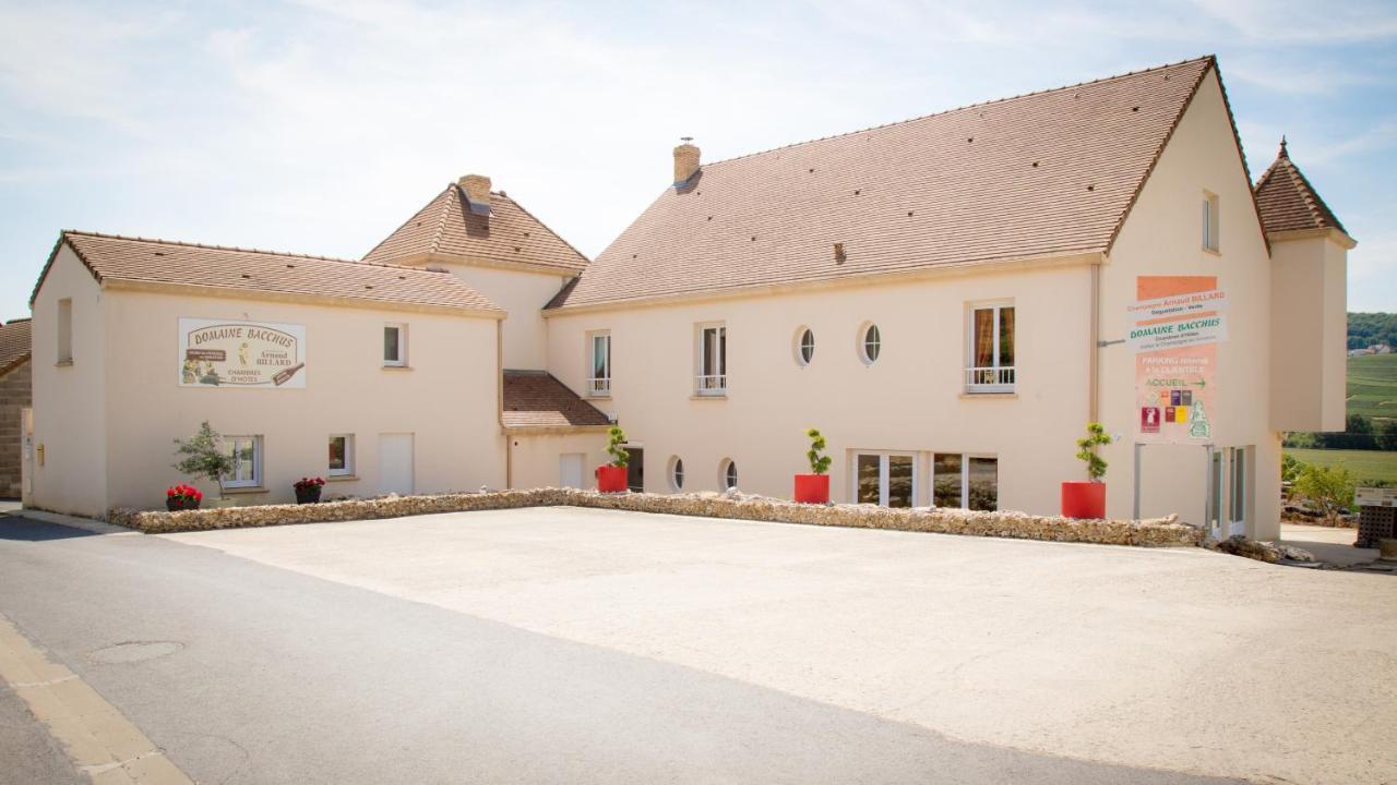 Domaine Bacchus Bed and Breakfast Reuil-sur-Marne Exteriör bild